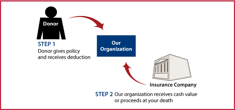 Life Insurance Policy Thumbnail